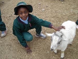 Farm excursion 2015 043