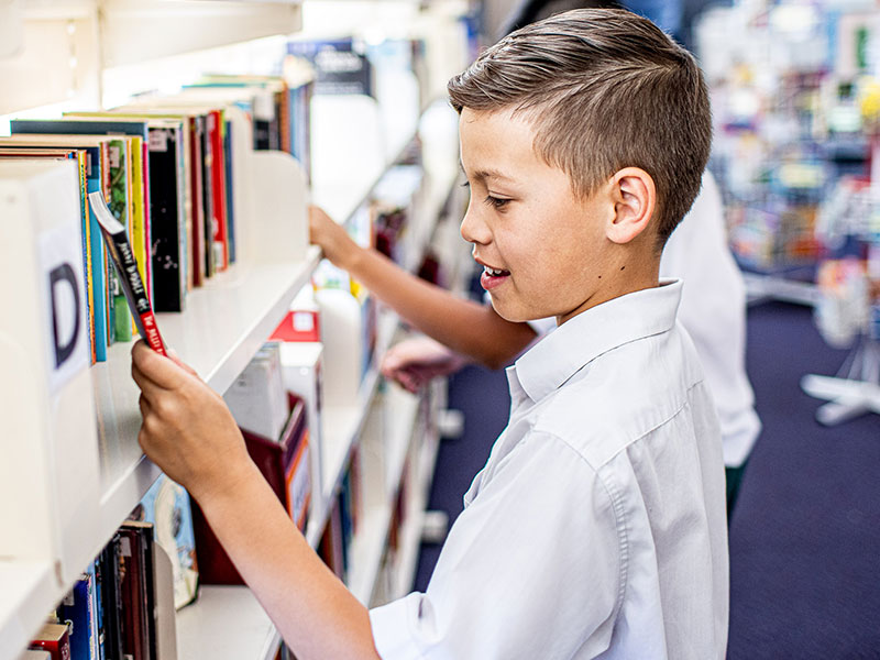 Library