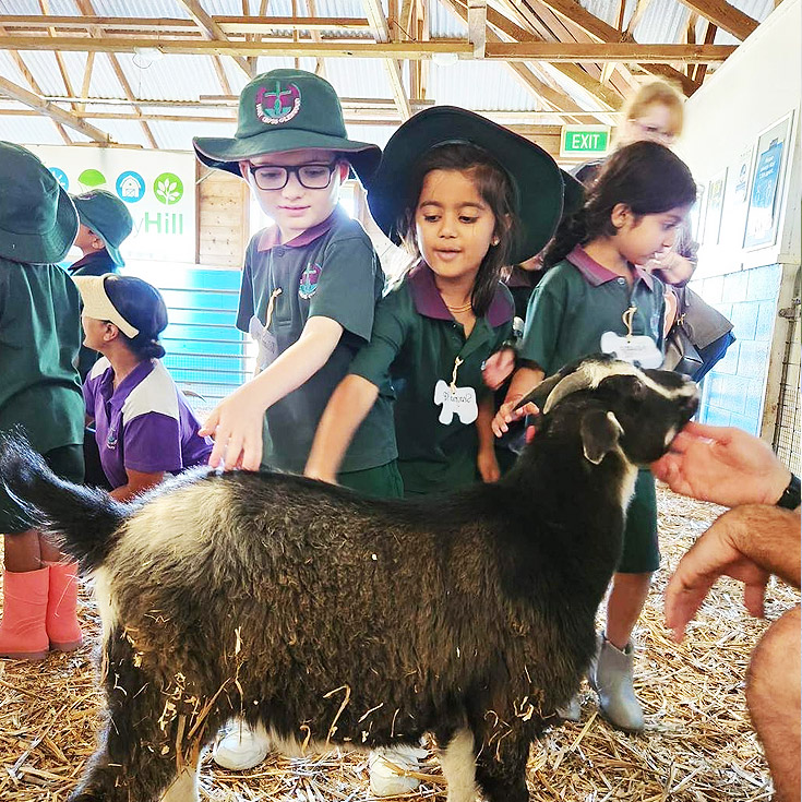 Farm visit for Holy Cross Catholic Primary Glenwood