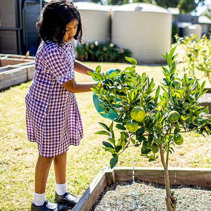 Garden area at Holy Cross Catholic Primary Glenwood