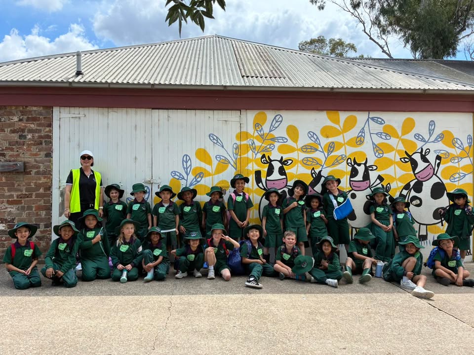 626921712571842_1263608565569817-1